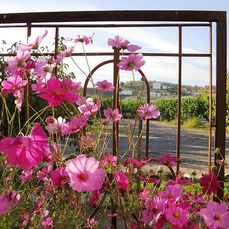Готель Jardines De Casablanca Каравака-де-ла-Крус Екстер'єр фото
