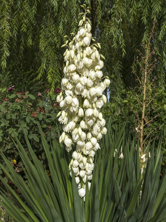Готель Jardines De Casablanca Каравака-де-ла-Крус Екстер'єр фото
