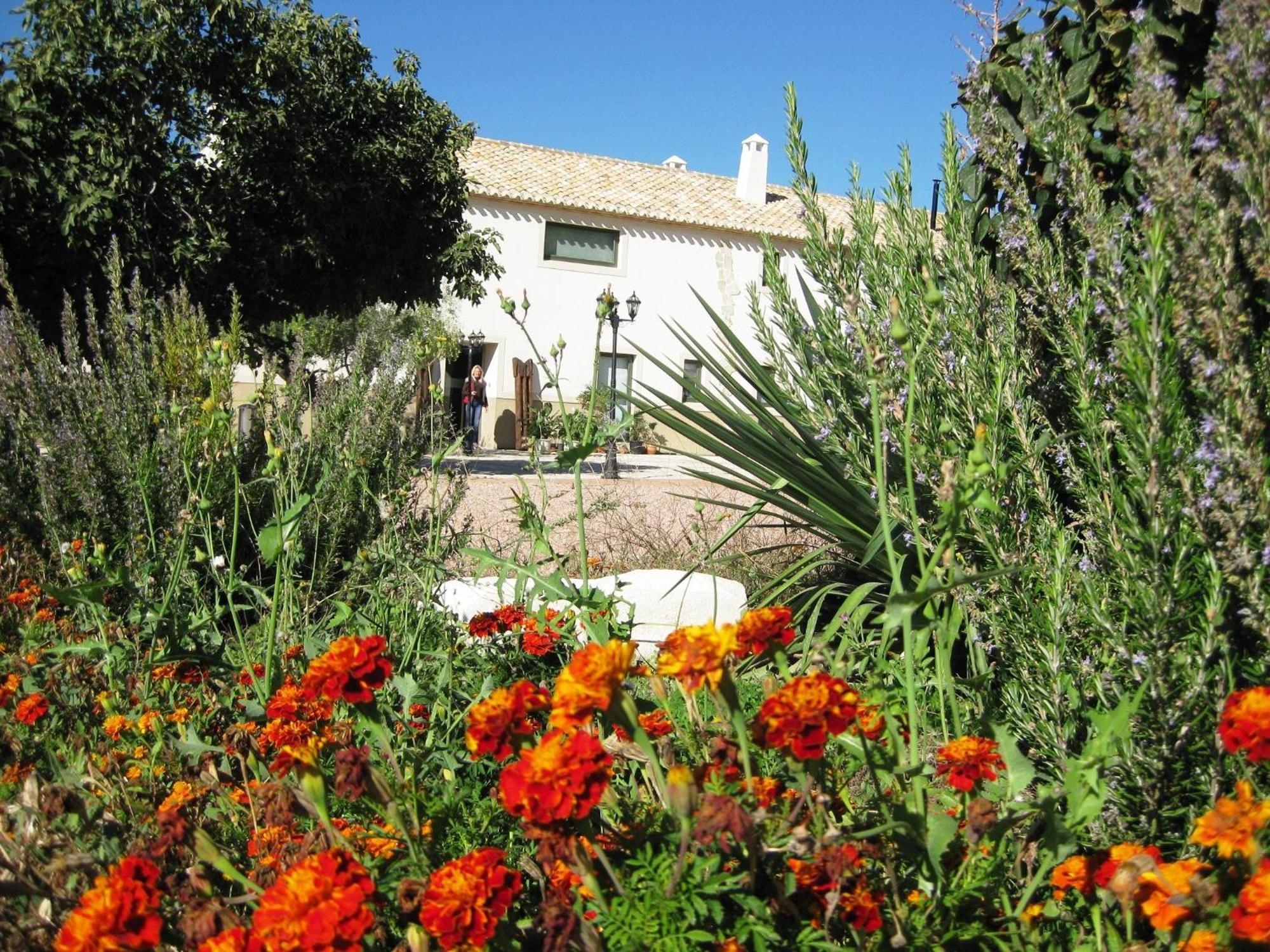 Готель Jardines De Casablanca Каравака-де-ла-Крус Екстер'єр фото
