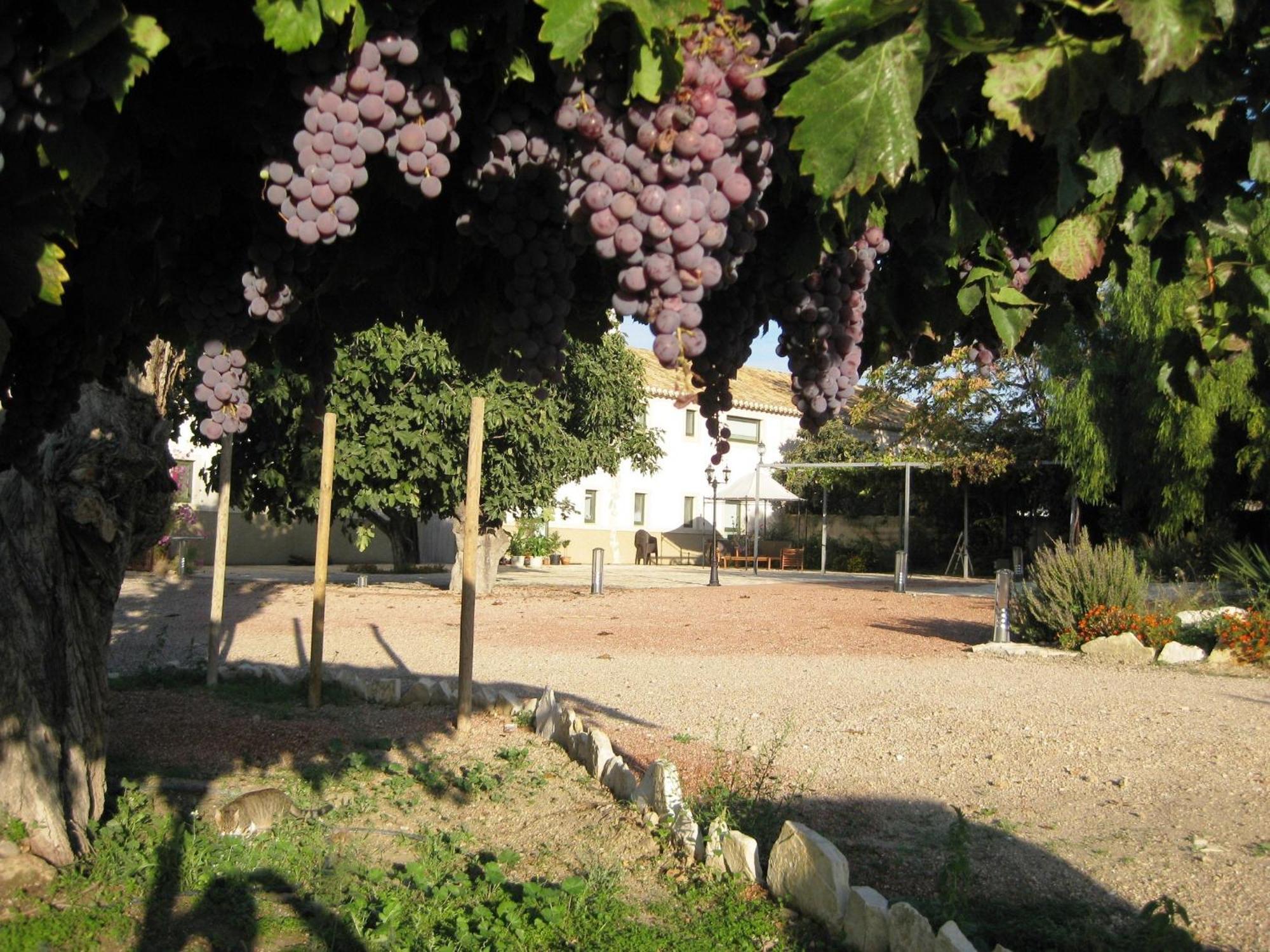 Готель Jardines De Casablanca Каравака-де-ла-Крус Екстер'єр фото
