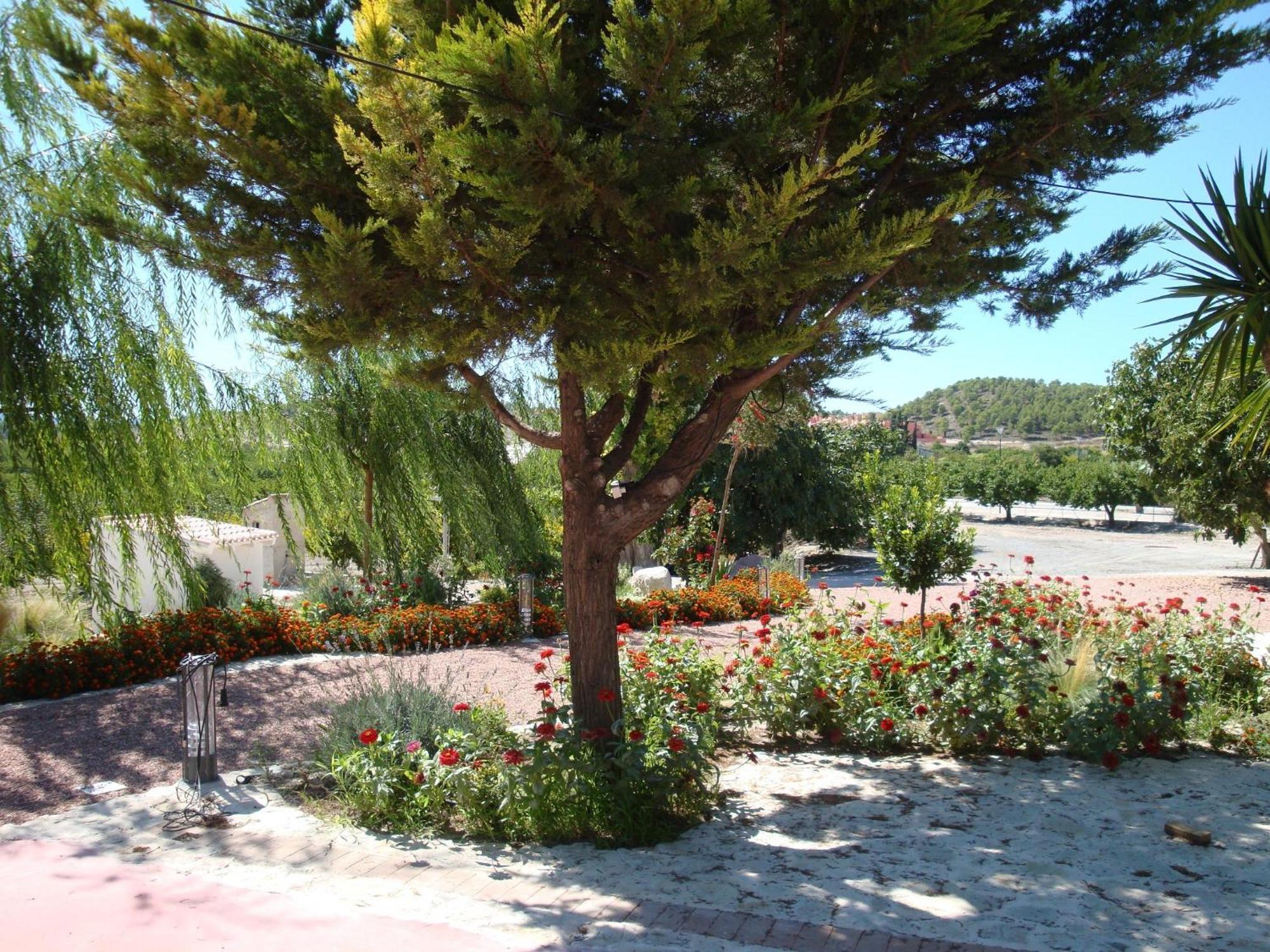 Готель Jardines De Casablanca Каравака-де-ла-Крус Екстер'єр фото