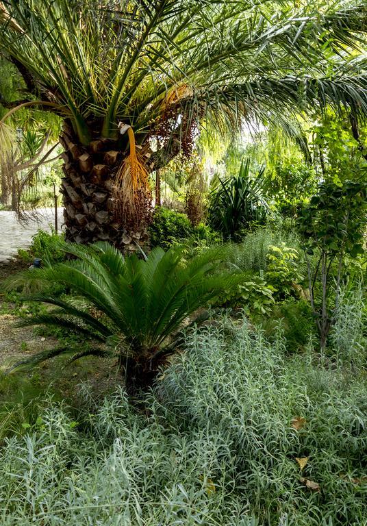 Готель Jardines De Casablanca Каравака-де-ла-Крус Екстер'єр фото